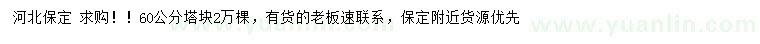 求購60公分塔塊