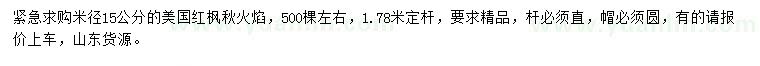 求購米徑15公分美國紅楓秋火焰