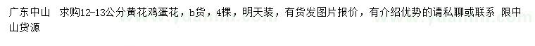 求購(gòu)12-13公分黃花雞蛋花