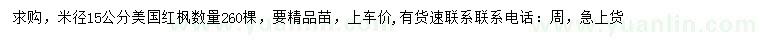 求購米徑15公分美國紅楓