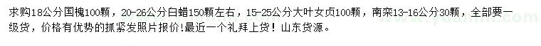 求購國槐、大葉女貞、南欒等