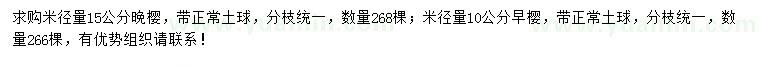 求購(gòu)米徑量15公分晚櫻、10公分早櫻