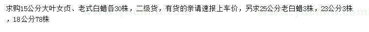 求購大葉女貞、老式白蠟、老白蠟