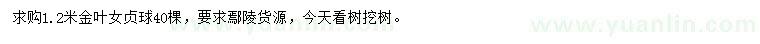 求購1.2米金葉女貞球
