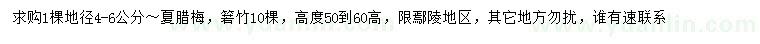 求購地徑4-6公分夏臘梅、
