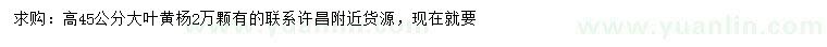 求購高45公分大葉黃楊