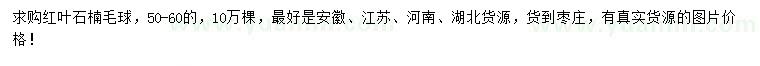 求購(gòu)50-60公分紅葉石楠毛球