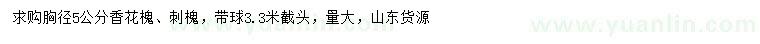求購胸徑5公分香花槐、刺槐
