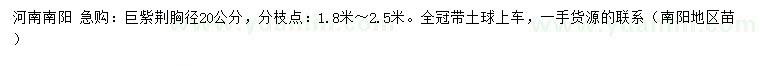 求購胸徑20公分巨紫荊