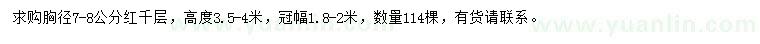 求購胸徑7-8公分紅千層