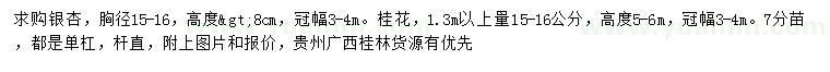 求購胸徑15-16公分銀杏、1.3米以上量15-16公分桂花