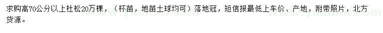 求購高70公分以上杜松