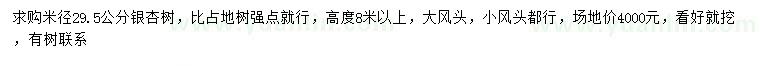 求購米徑29.5公分銀杏