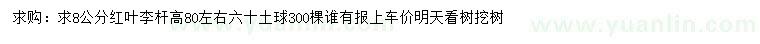 求購(gòu)8公分紅葉李