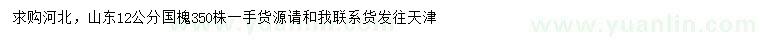 求購12公分國槐