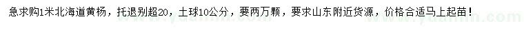 求購(gòu)1米北海道黃楊