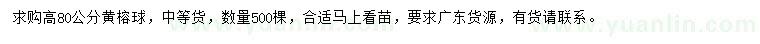求購高80公分黃榕球