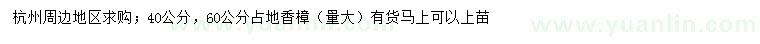 求購40、60公分占地香樟