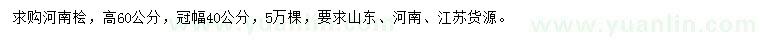 求購(gòu)高60公分河南檜
