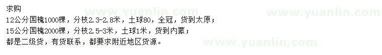 求購12、15公分國槐