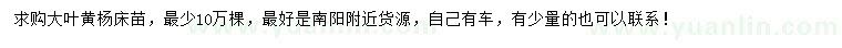 求購大葉黃楊