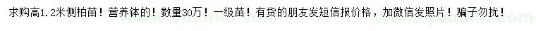 求購高1.2米側(cè)柏