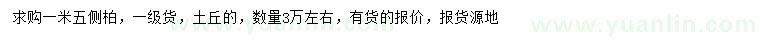 求購1.5米側柏
