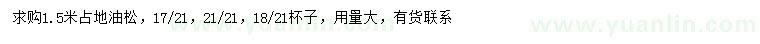 求購1.5米占地油松