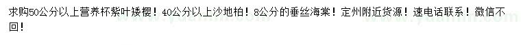 求購(gòu)紫葉矮櫻、沙地柏、垂絲海棠