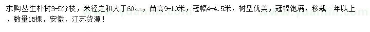 求購(gòu)高9-10米叢生樸樹