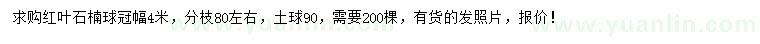 求購冠幅4米紅葉石楠球
