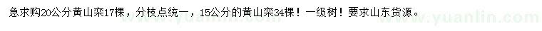 求購15、20公分黃山欒