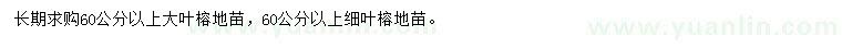 求購60公分以上大葉榕、細(xì)葉榕