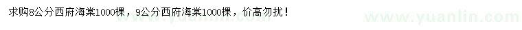 求購8、9公分西府海棠