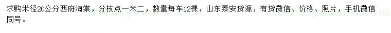 求購米徑20公分西府海棠