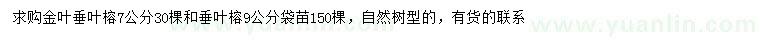 求購7公分金葉垂葉榕、9公分垂葉榕
