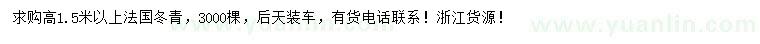 求購高1.5米以上法國冬青
