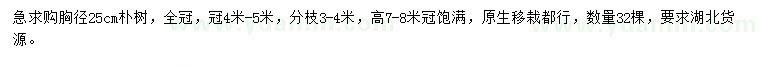 求購胸徑25公分樸樹