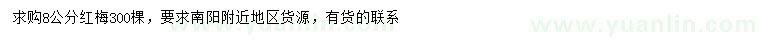 求購8公分紅梅