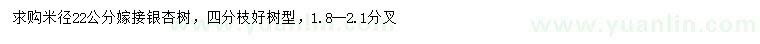 求購米徑22公分嫁接銀杏樹