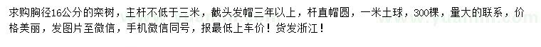 求購胸徑16公分欒樹