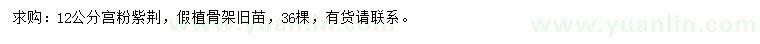 求購12公分宮粉紫荊