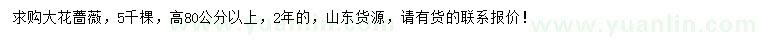 求購(gòu)高80公分以上大花薔薇