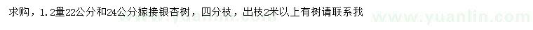 求購1.2量22、24公分嫁接銀杏