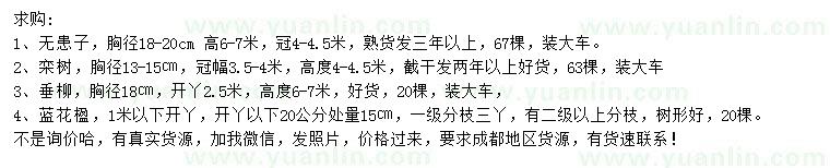 求購無患子、欒樹、垂柳等