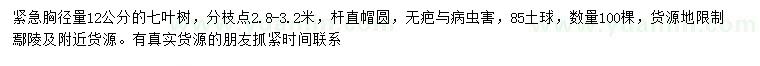 求購胸徑量12公分七葉樹