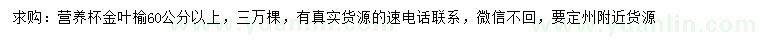 求購(gòu)60公分以上金葉榆