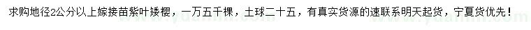 求購地徑2公分以上紫葉矮櫻