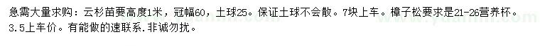 求購高度1米云杉