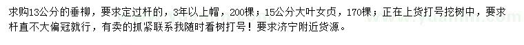 求購13公分垂柳、15公分大葉女貞